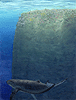 deep_drift